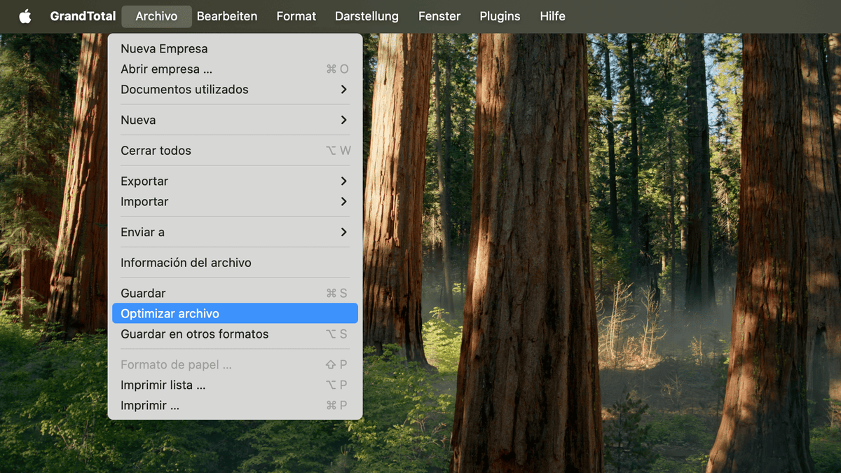 Menú Archivo con opción de optimización