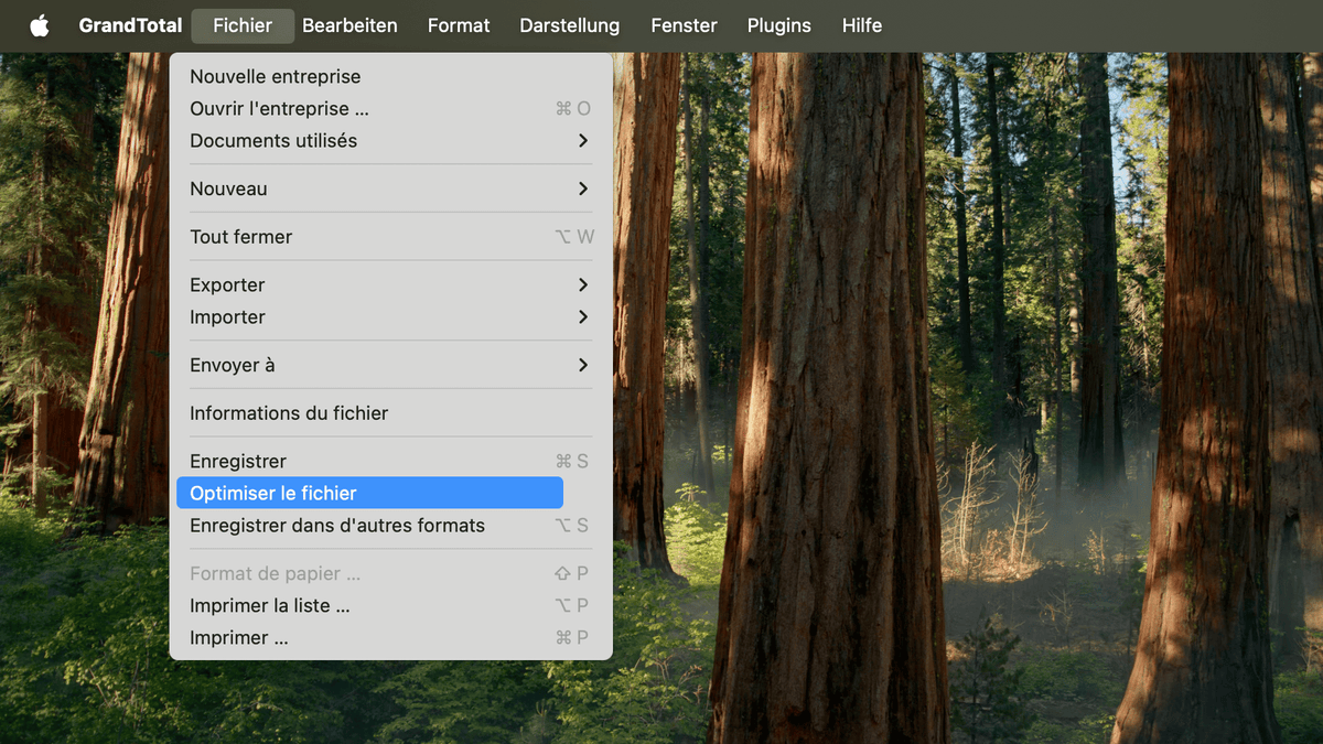 Menu Fichier avec option d'optimisation