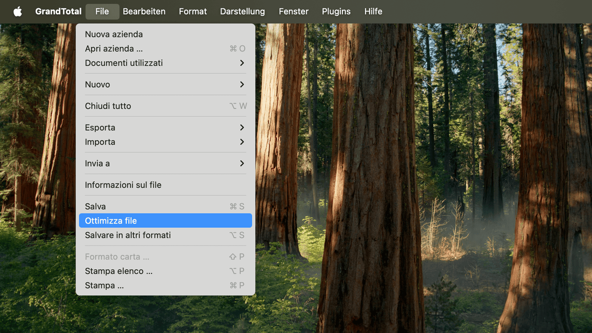 Menu File con opzione di ottimizzazione