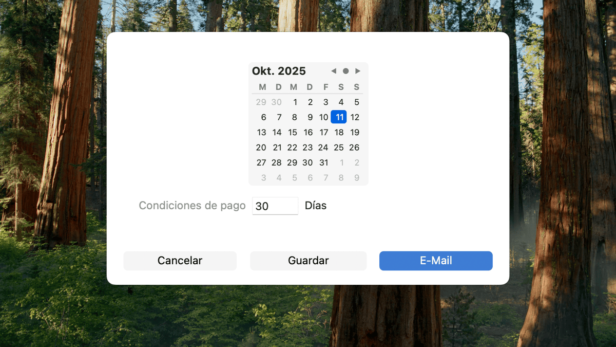 Plazo de pago 30 días en GrandTotal