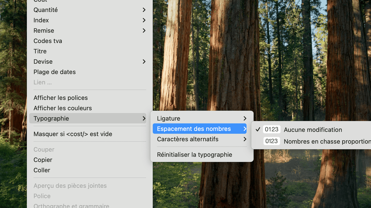 Sous-menu Typographie dans le menu contextuel d'un champ de texte de mise en page